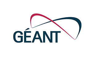 P13-GEANT